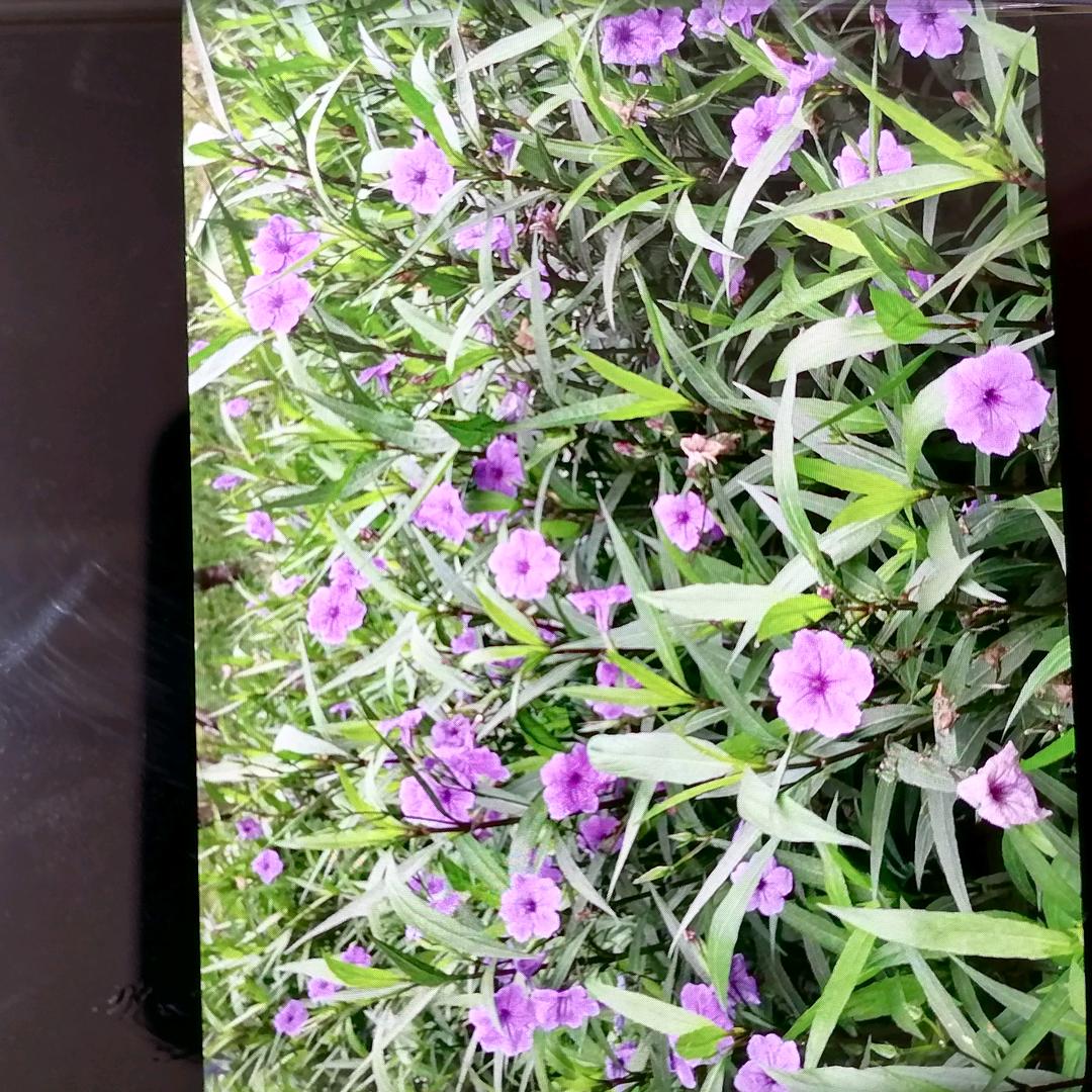 热浪滚滚