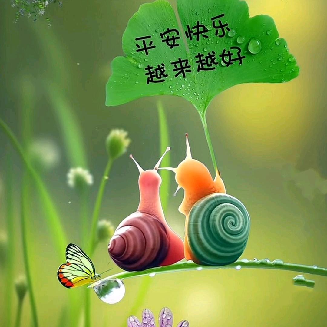 平平安安岁岁年年