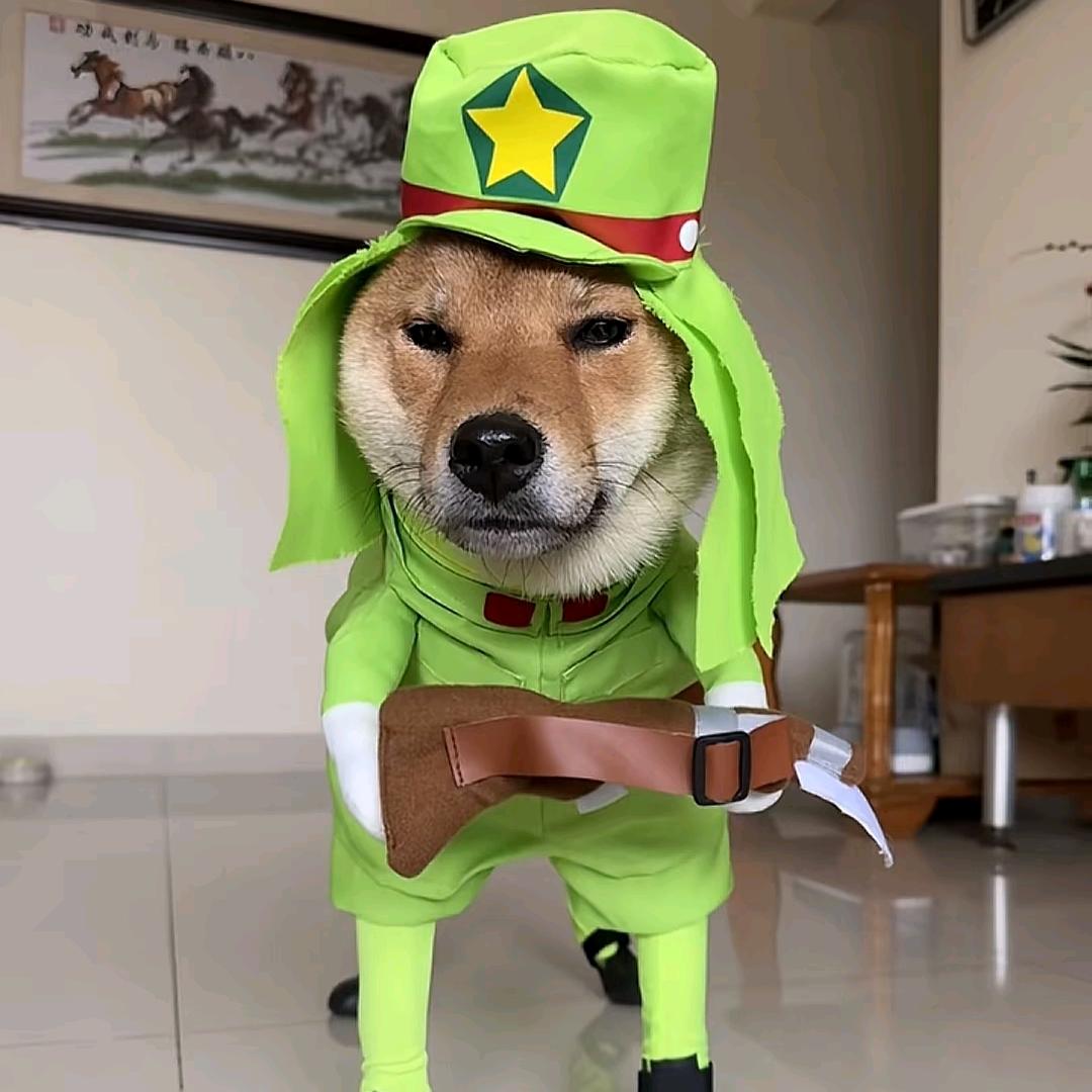 哈欠就会捞目汁