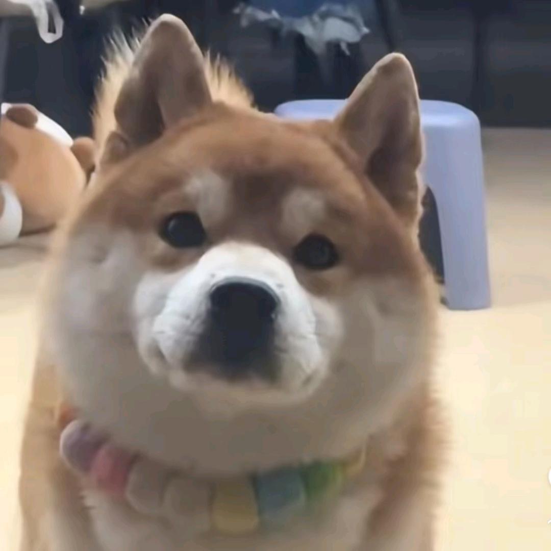 限