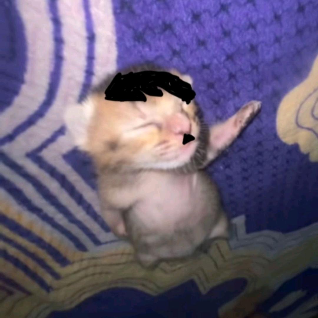 喜海