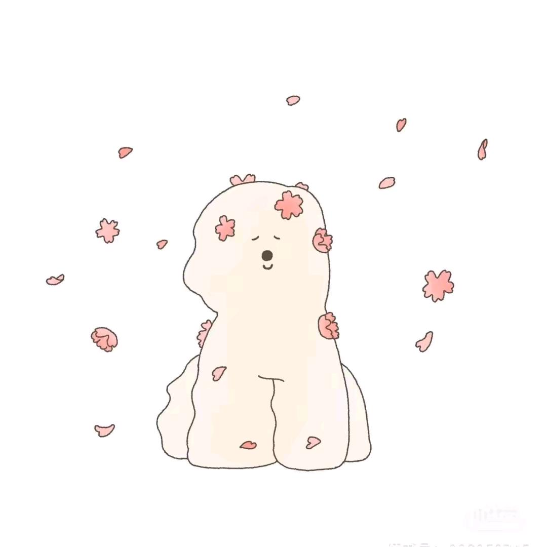 公主殿下