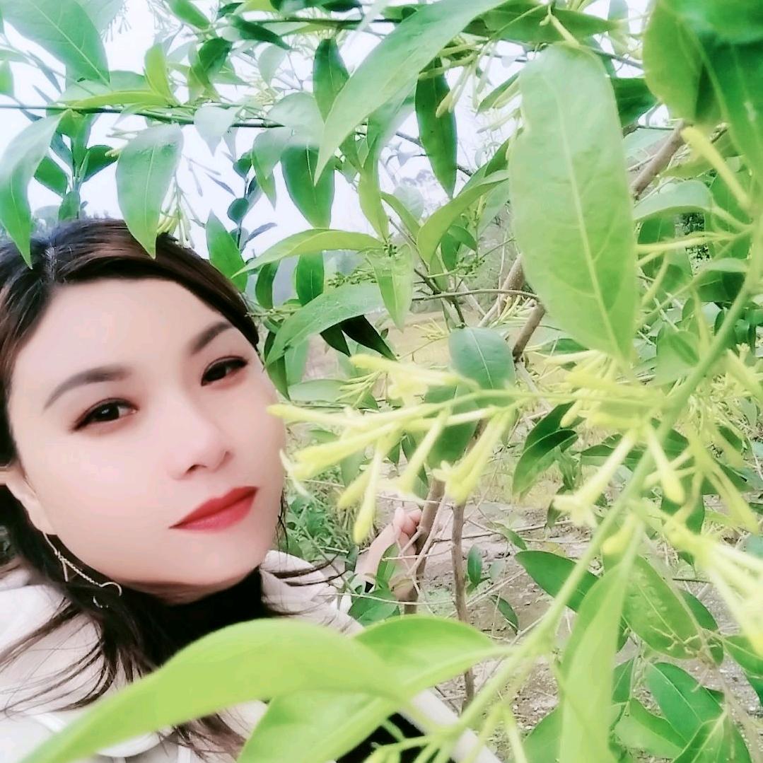 微微一笑🍁🌹