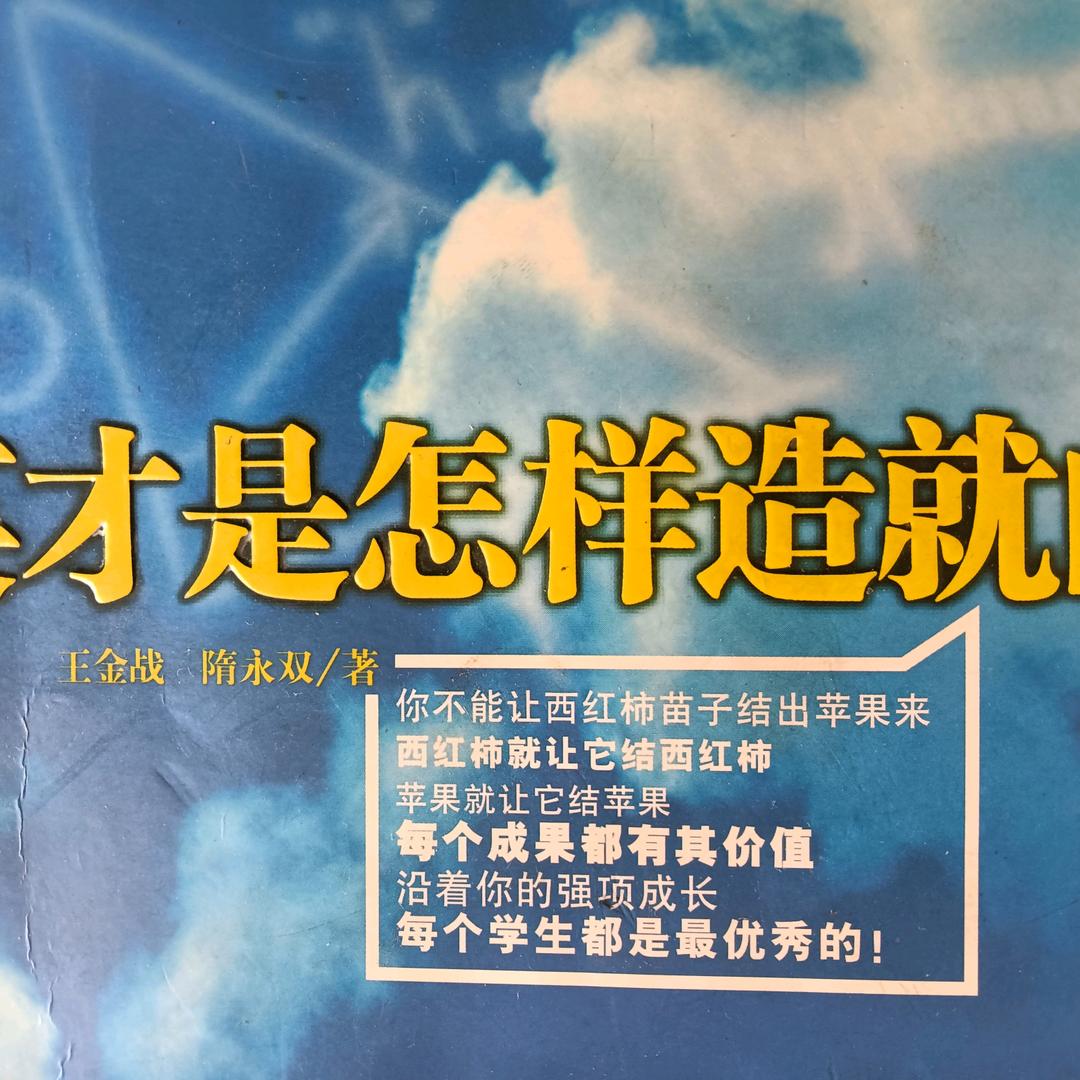 高报规划师