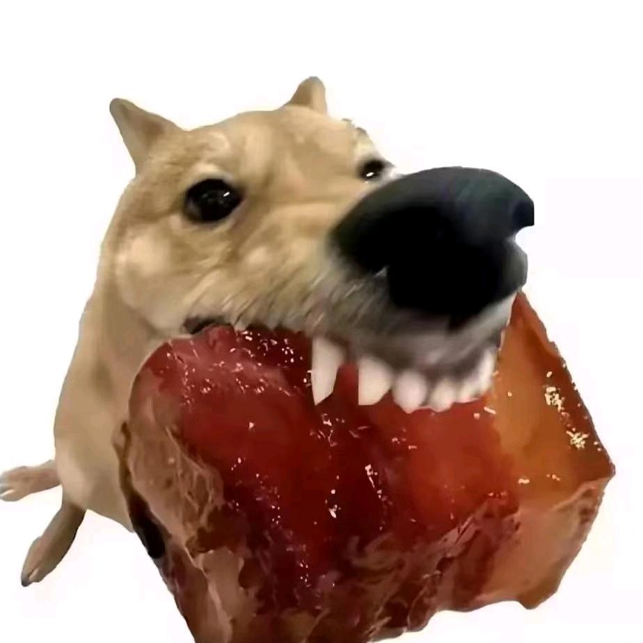 只有三秒记忆