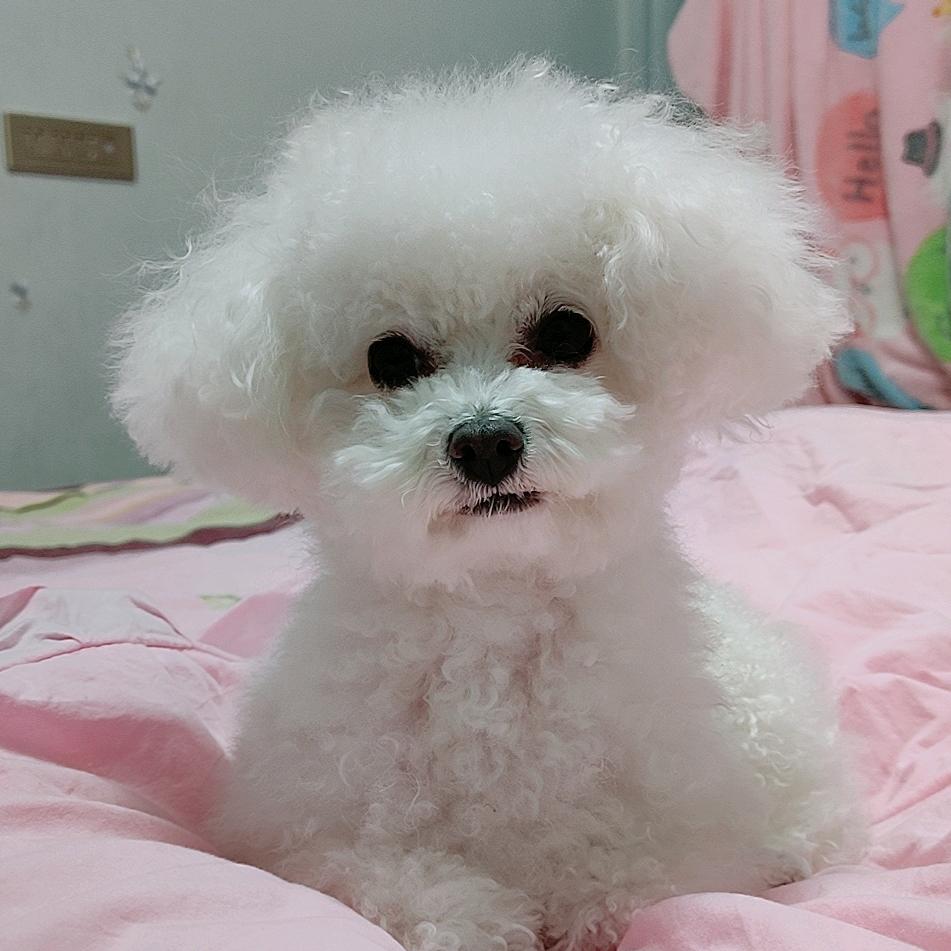 染指你的虚伪