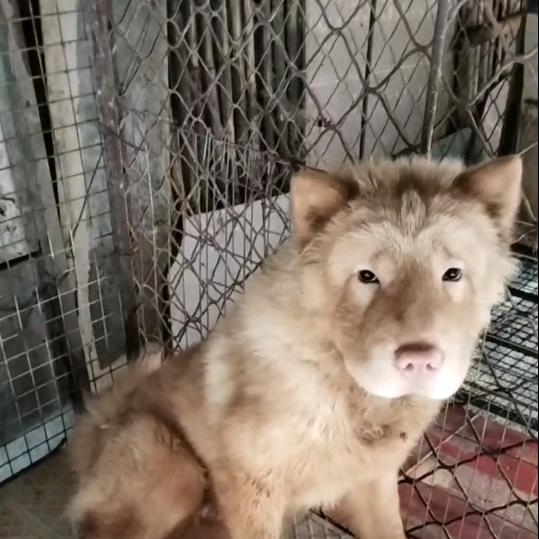 刘～梁