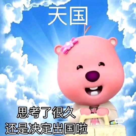 12点起床的崽