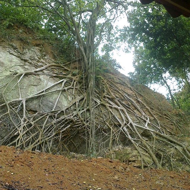 洋之意百货商行