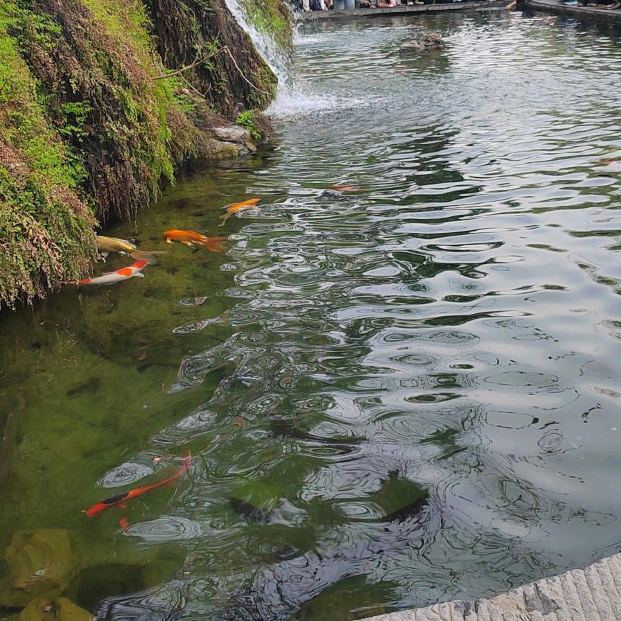年年有余钱