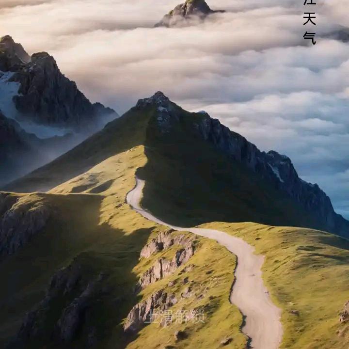 想你