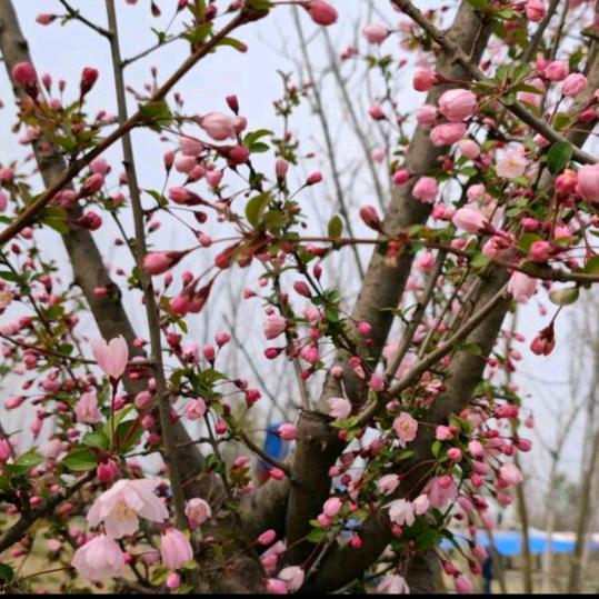 快乐一生(•‿•)