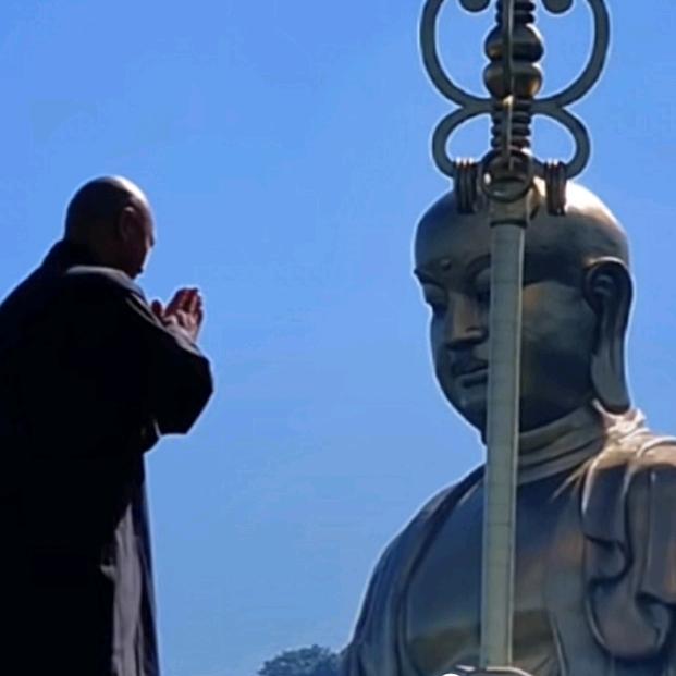 光头哥