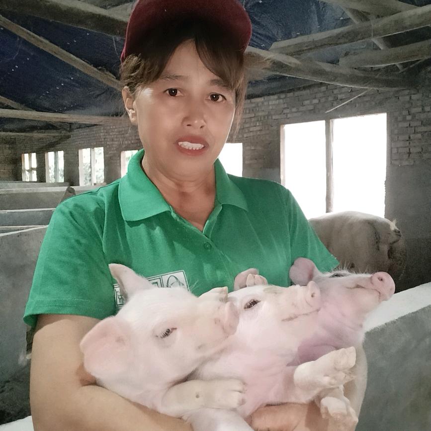 农村养猪大姐