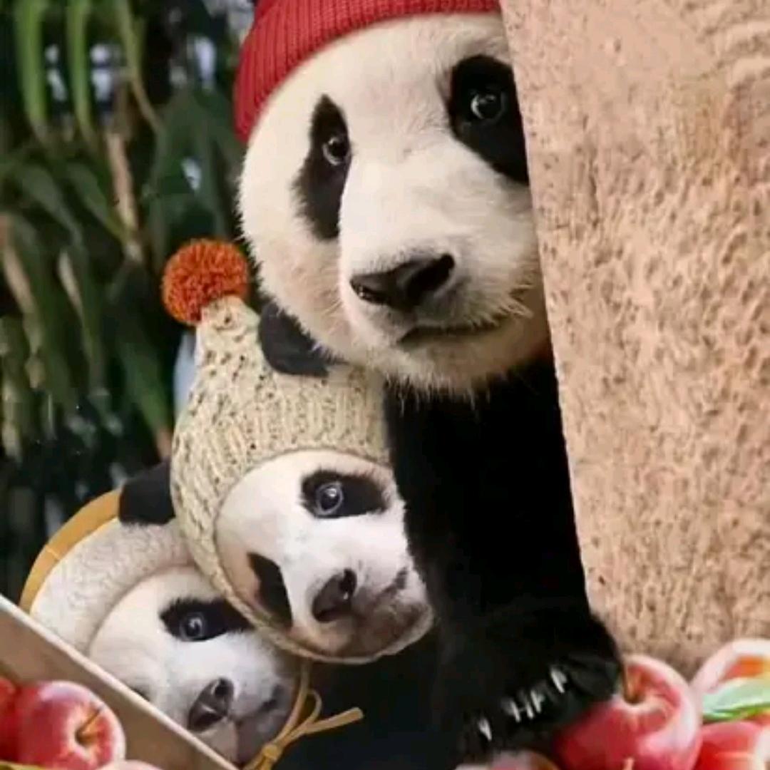 甜❤️