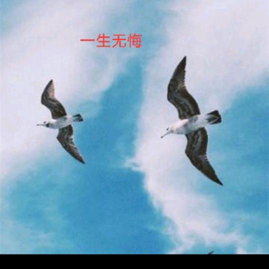 财运亨通¥走天涯