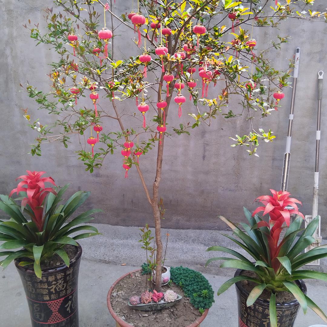 （ノ王候♥余生