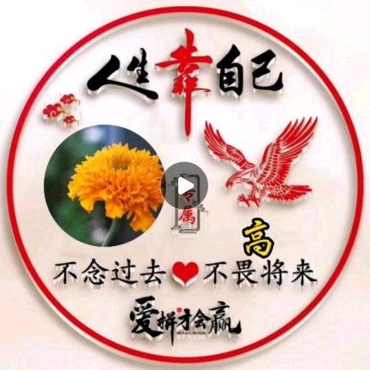 我有俩宝
