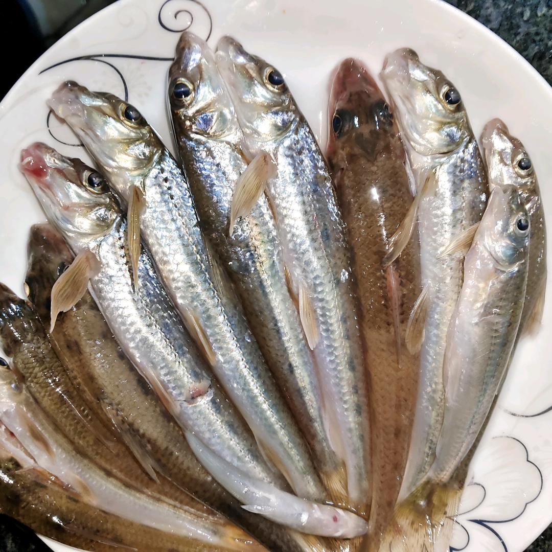 富顺哥