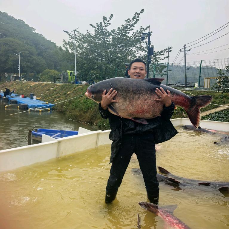 东明巨物