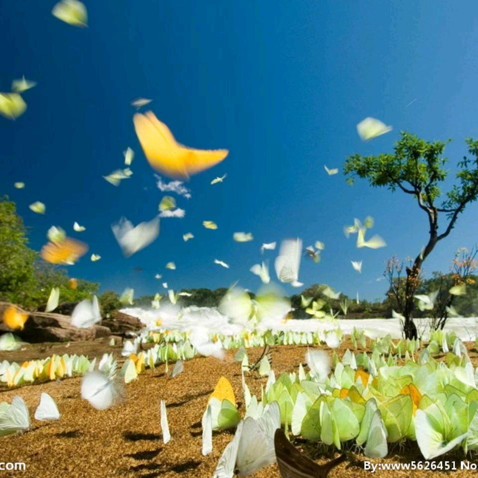 花园湾健身队唐唐