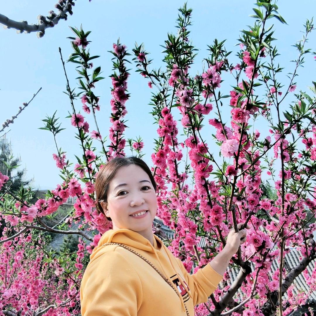 凤