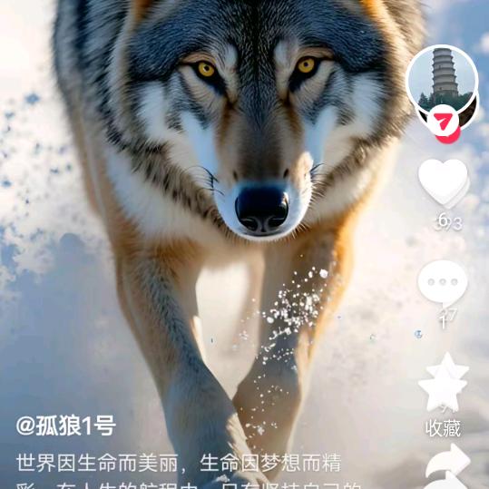 疯狂的野狼