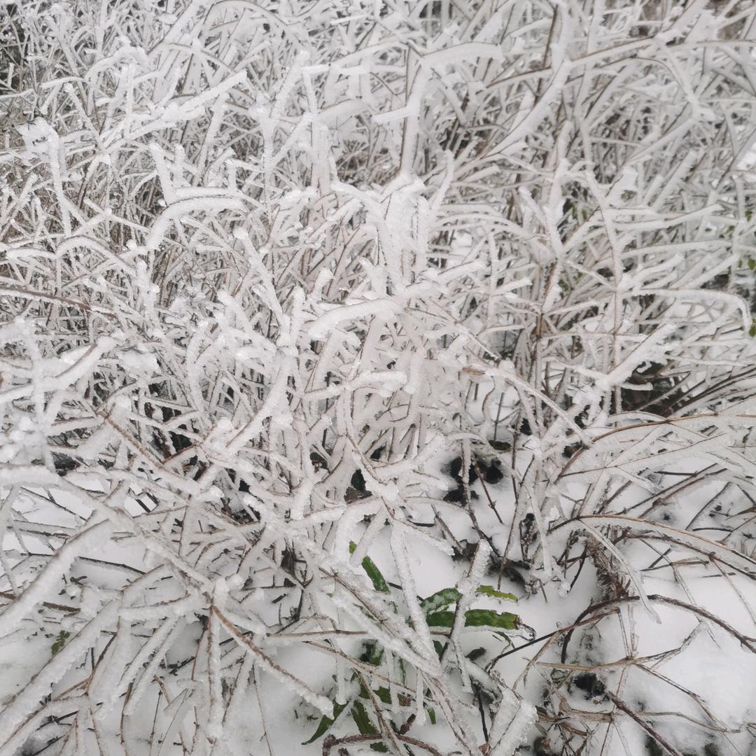 碧海无涯
