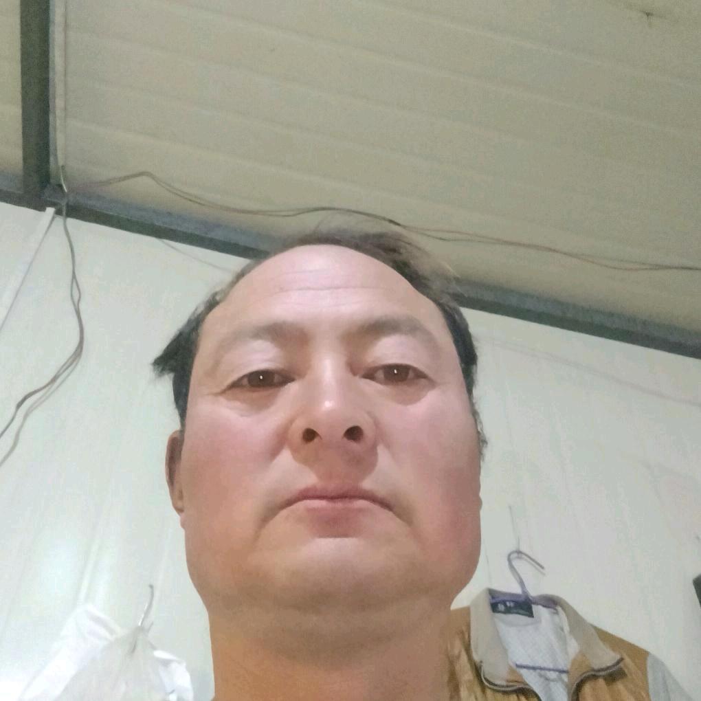 张映红