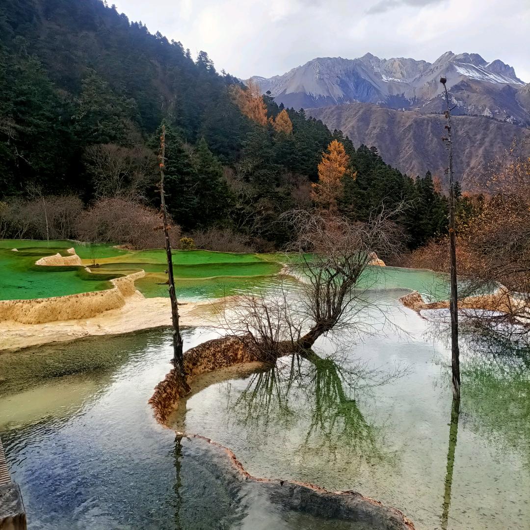 璐璐麻麻