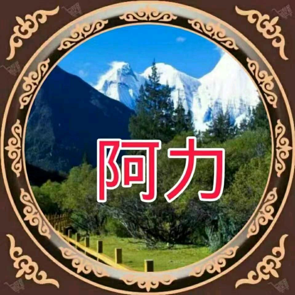 艾力