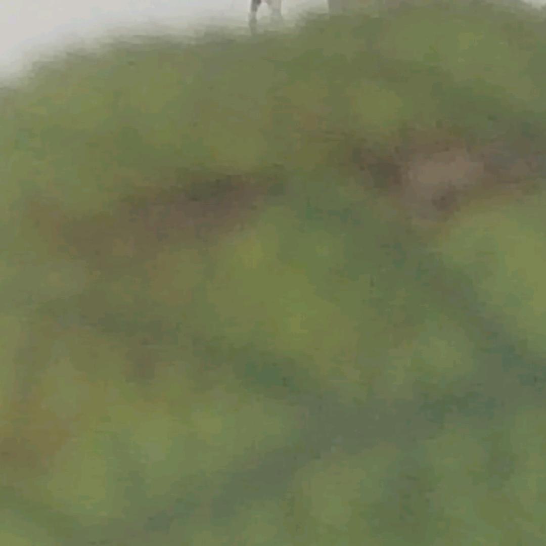 华山的雨雪和梅嗯嗯了了吧吧   。