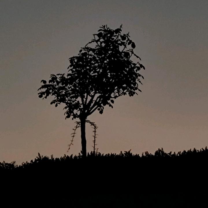 没有答案