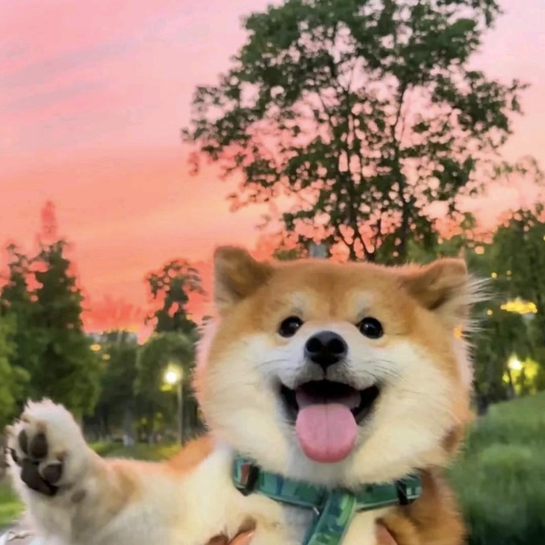 解童话*