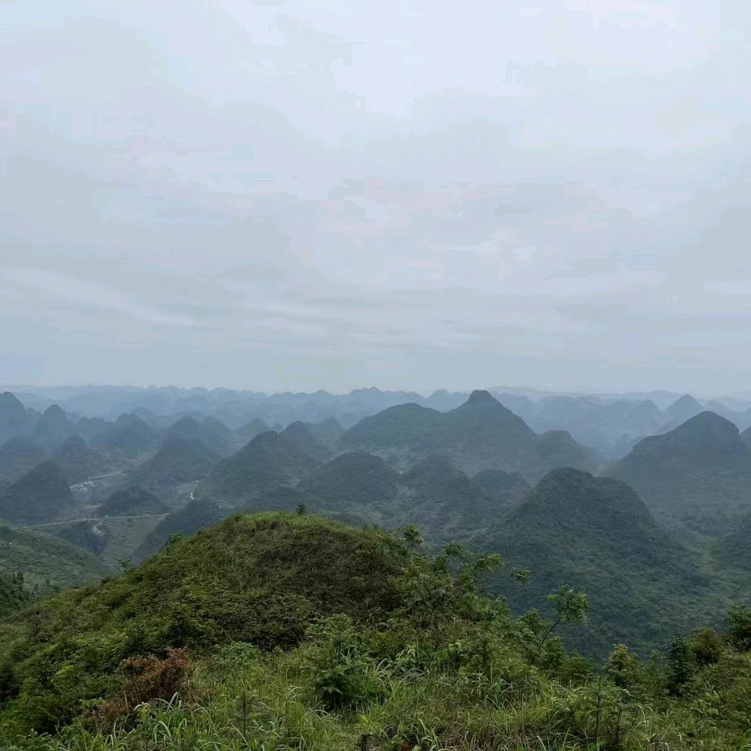用户。