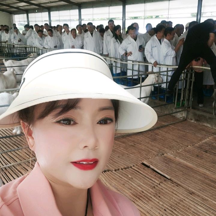 宁陵豫东牧业
