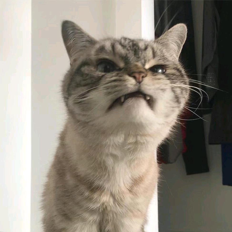 𝓶𝓪𝓽𝓽𝓮𝓻