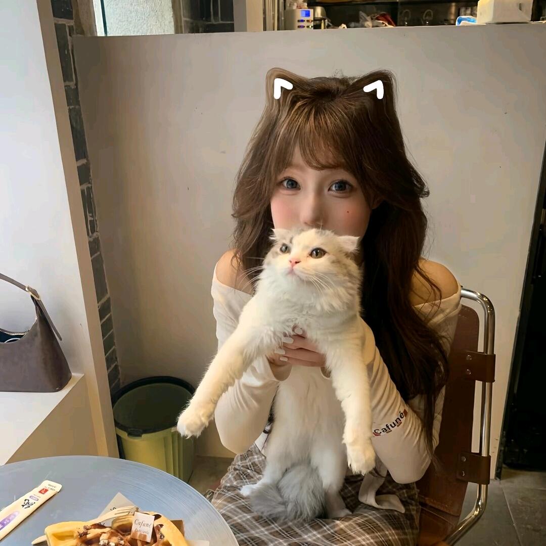 𝙆𝙤𝙞殺.⚜️