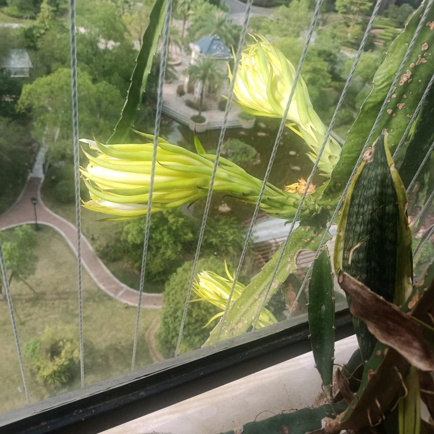 点点