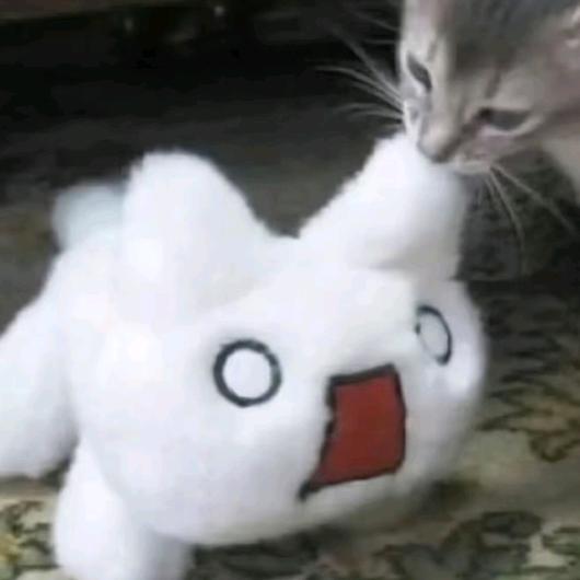 梧桐