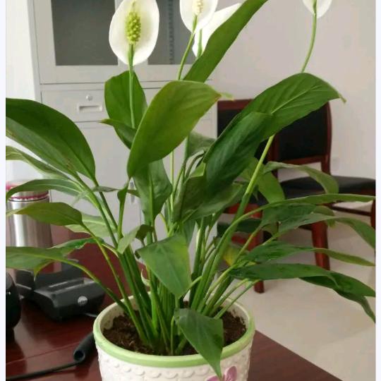 《續冩↖完羙↘》