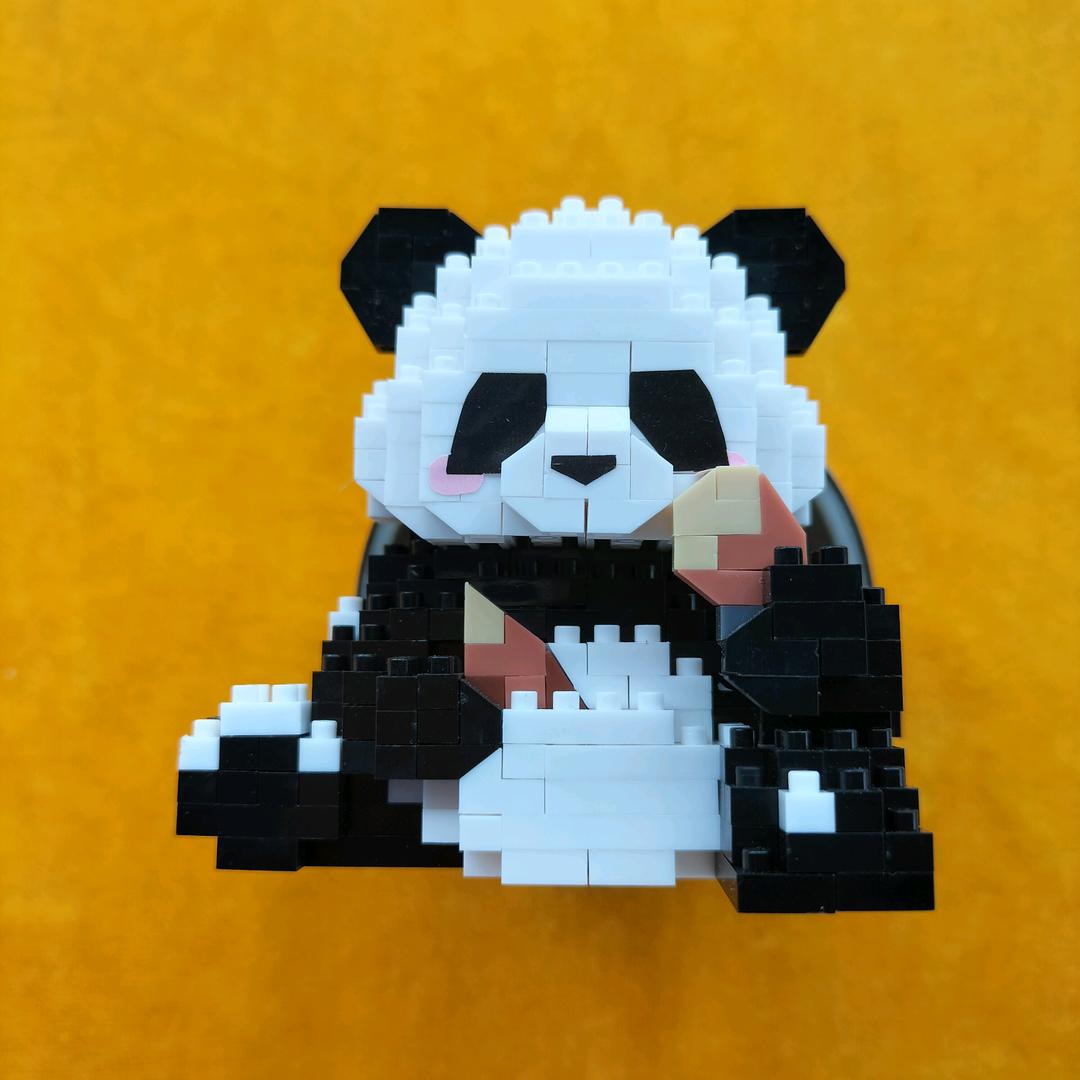 我属龙