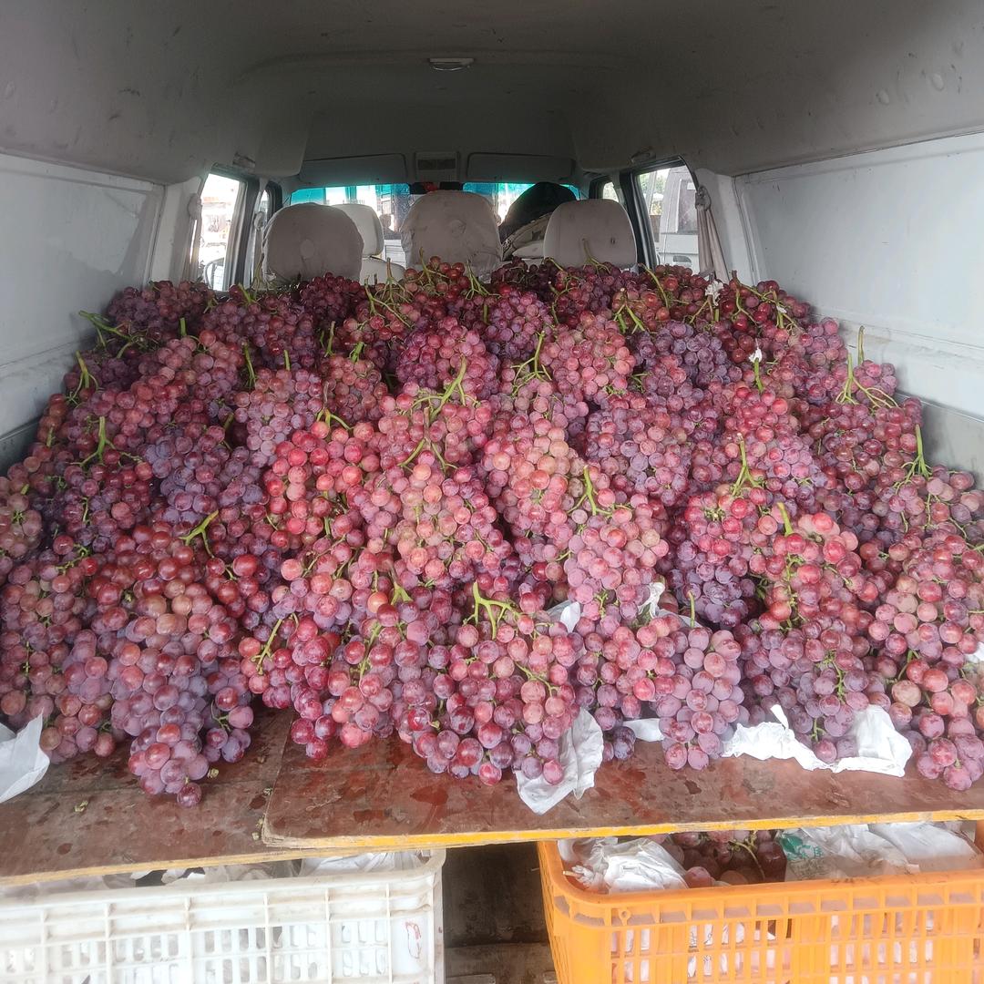 丁晓伟果蔬🍉🍌🍓🍅🌶️🍆