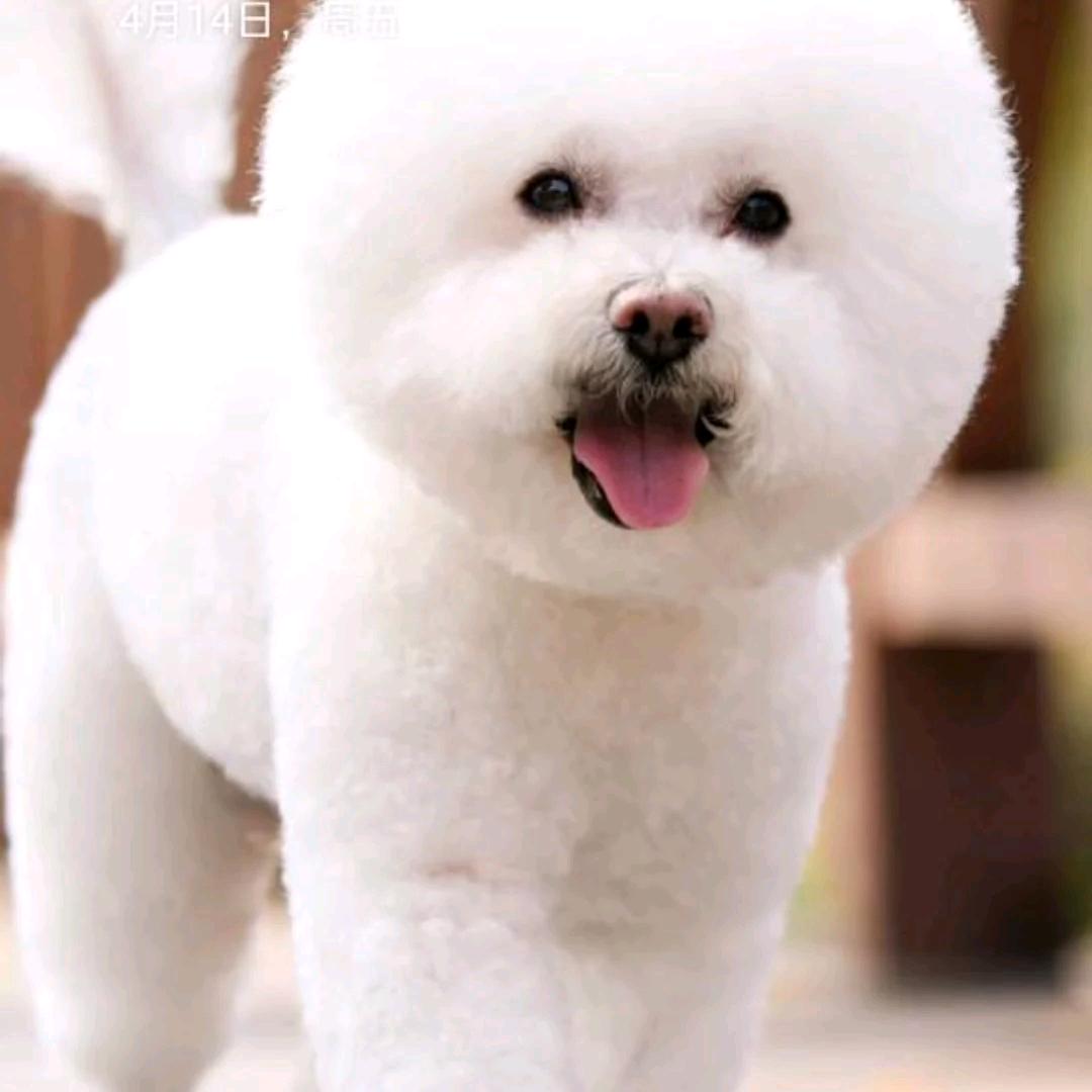 情天@
