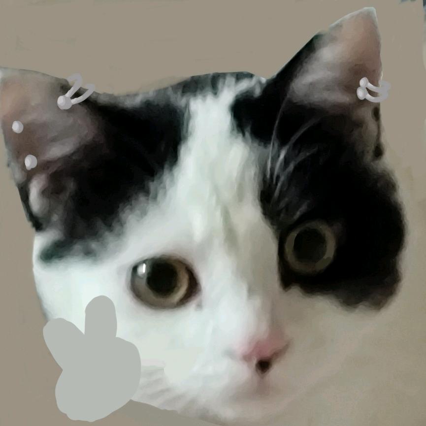 豆奶