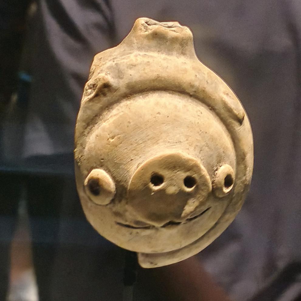 摩擦起火黑木耳