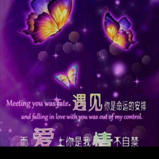 🥀⃟最美回忆᭄有你相伴꧀ᩚ