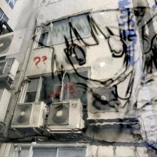 穿花衬衫的猪皮