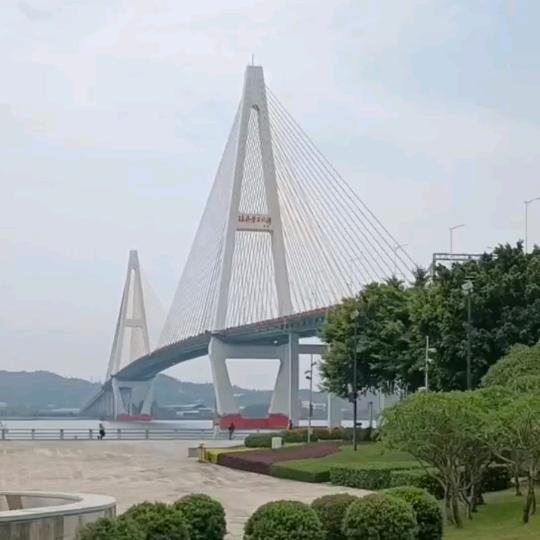 海阔天空&自由飞翔