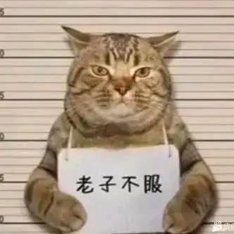 伤心的人遇见空心的城